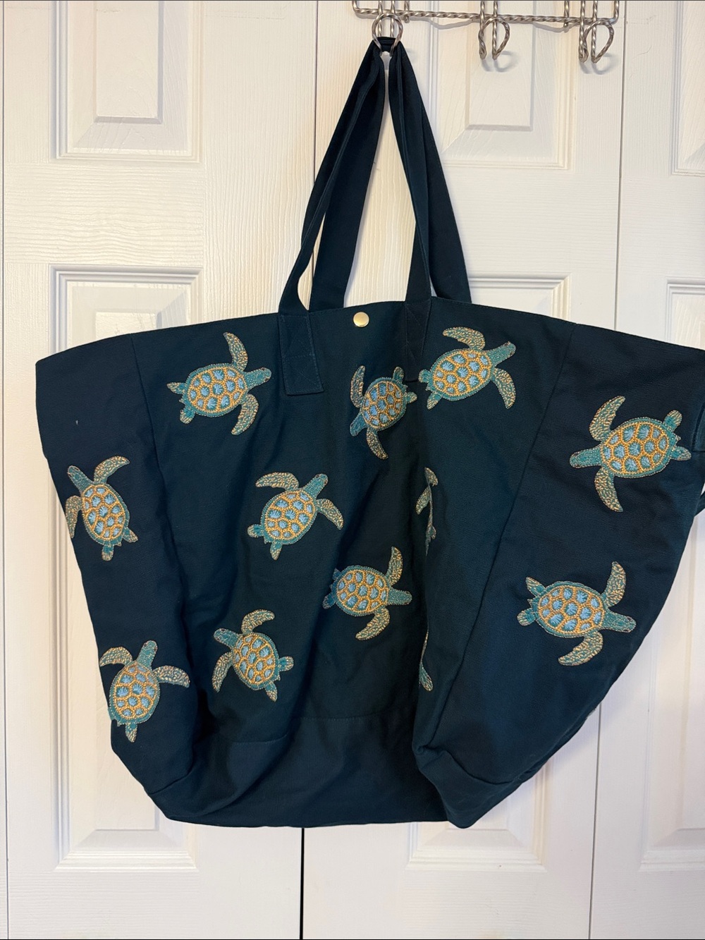 Elizabeth Scarlett Turtle conservation carryall